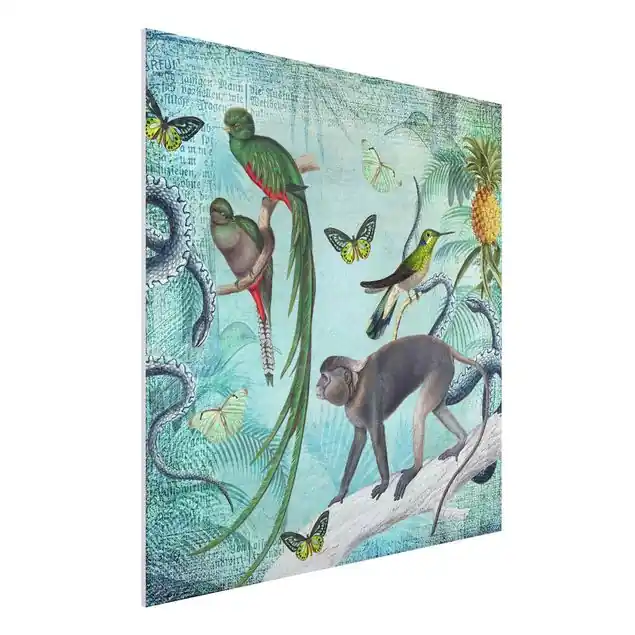 Colonial Style Collage - Äffchen und Paradiesvögel Neu