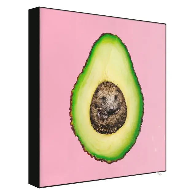 Avocado mit Igel Ausverkauf
