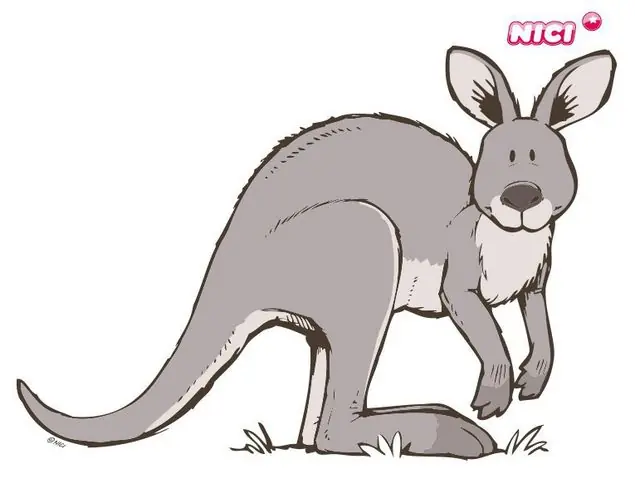 Bestpreis NICI - Wild Australia Wandtattoo