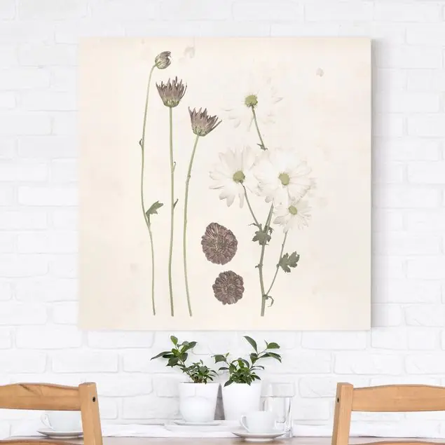 Bestpreis Herbarium in rosa IV