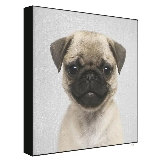 Sonderangebot Baby Mops Moritz