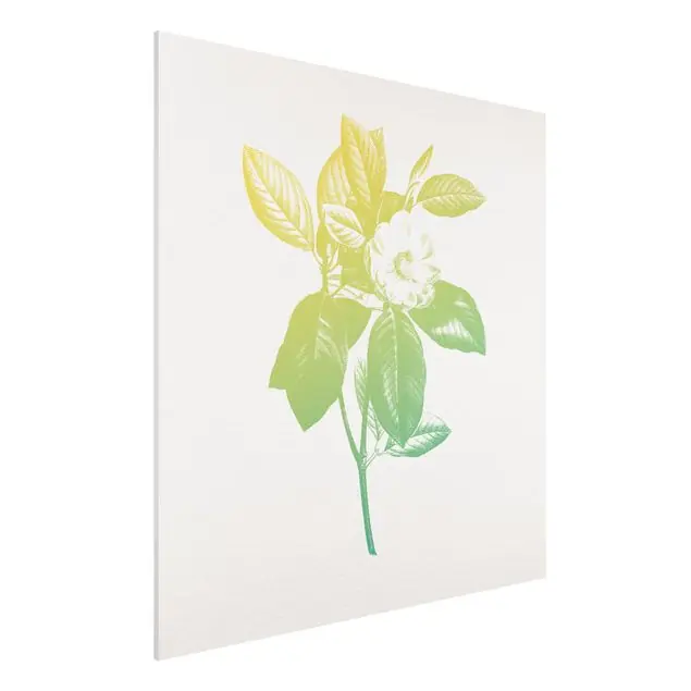 Sonderaktion Modern Vintage Botanik Kirschblüte Grün Gelb