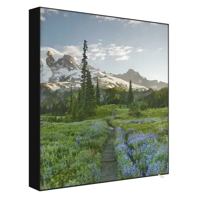 Bergblick Wiesenpfad Preis Gesenkt