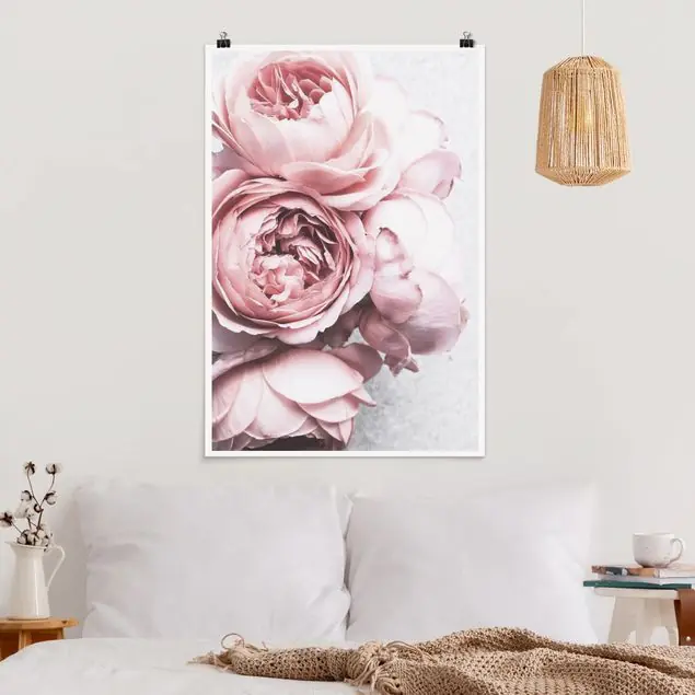 Rosa Pfingstrosenblüten Shabby Pastell Neue Kollektion