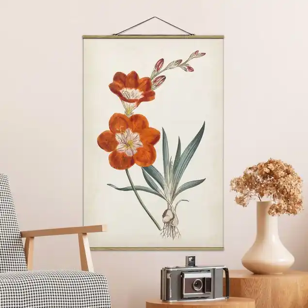 Top-Seller Gartenschönheit V