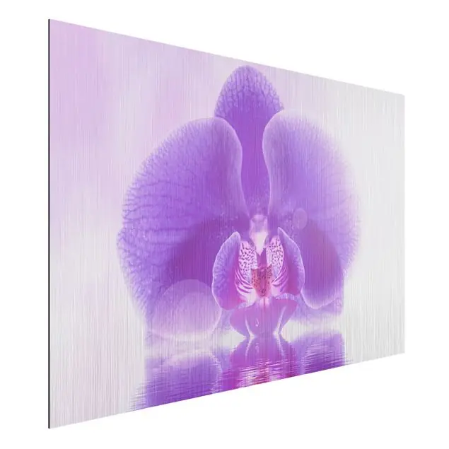 Angebot Lila Orchidee auf Wasser