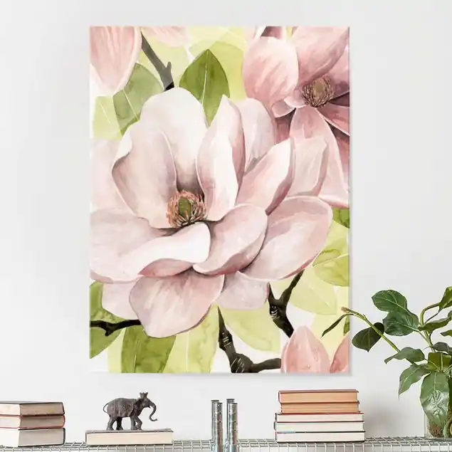 Magnolie errötet I Super-Preis