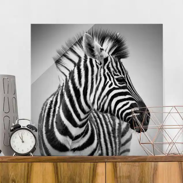 Schnäppchen Zebra Baby Portrait II