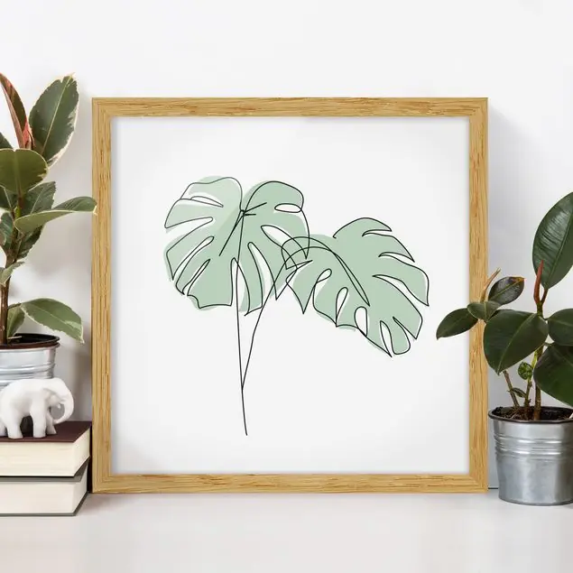 Günstig Monstera Blätter Line Art