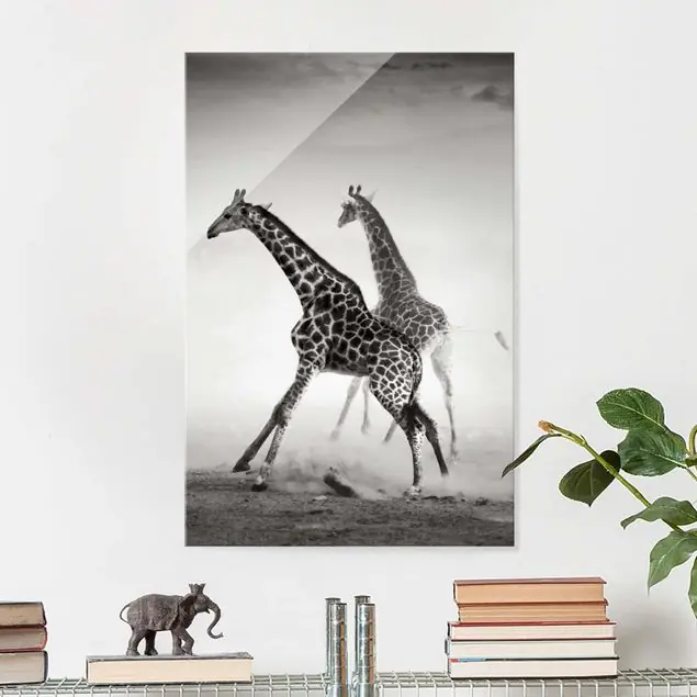 Giraffenjagd Markenware