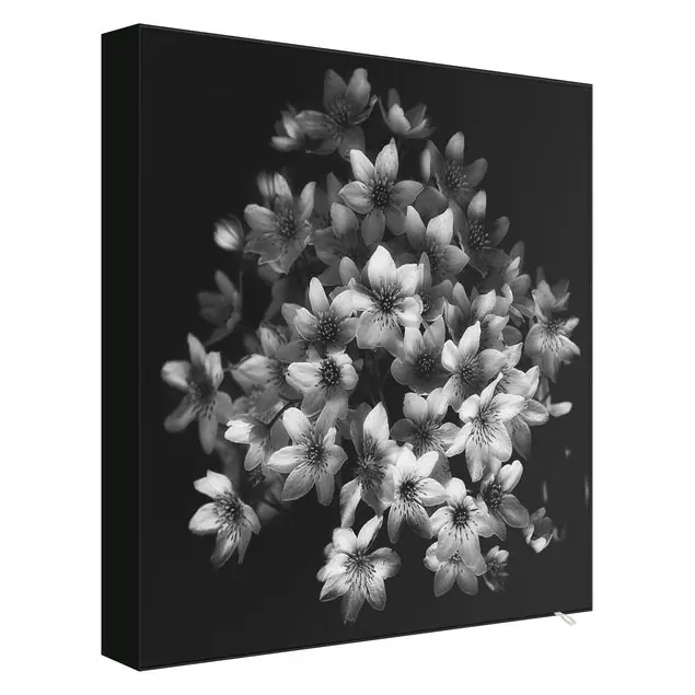 Sofort Bestellen Dunkler Clematis Strauß