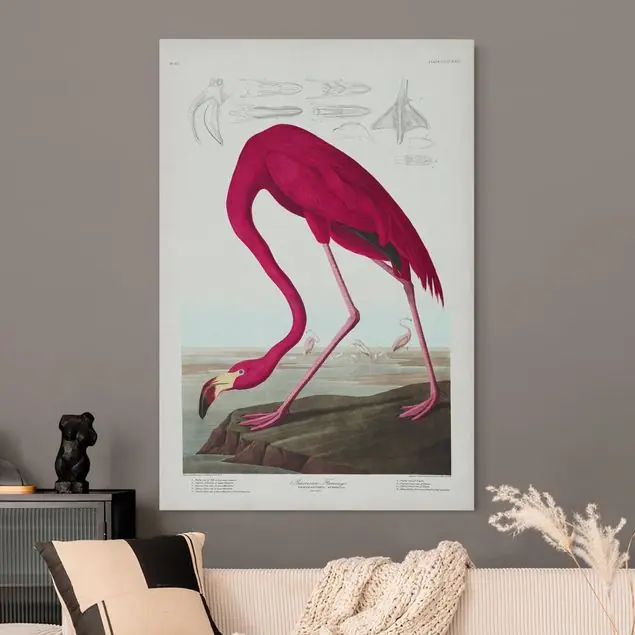 Highlight Vintage Lehrtafel Amerikanischer Flamingo
