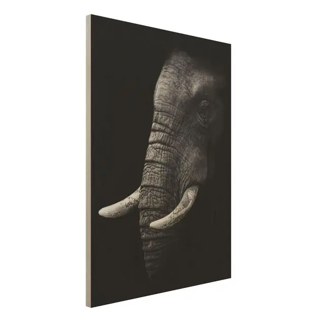 Dunkles Elefanten Portrait Sonderangebot