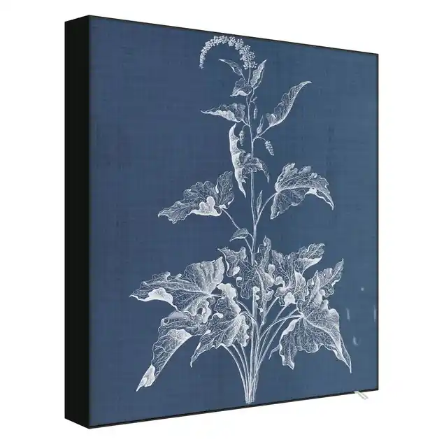 Denim Pflanzenstudie II Sonderangebot