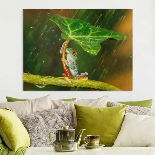 Aktuell Ein Frosch im Regen