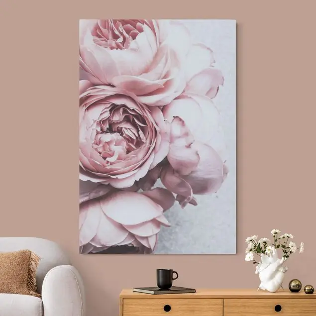 Rosa Pfingstrosenblüten Shabby Pastell Nur Heute