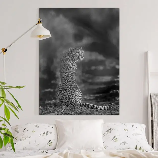 Gepard in der Wildness Highlight