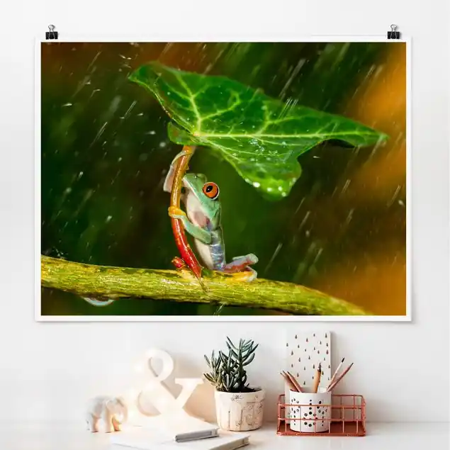 Abverkauf Ein Frosch im Regen