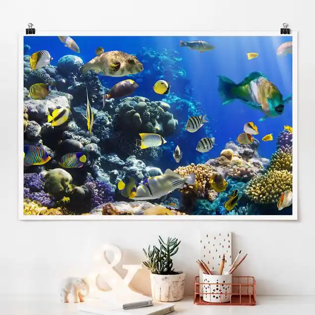 Sale Underwater Reef