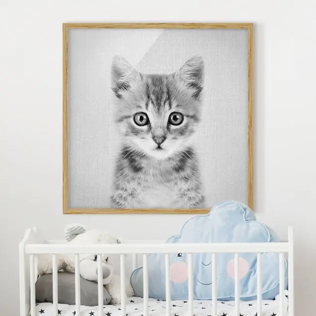 Ausverkauf Baby Katze Killi Schwarz Weiß