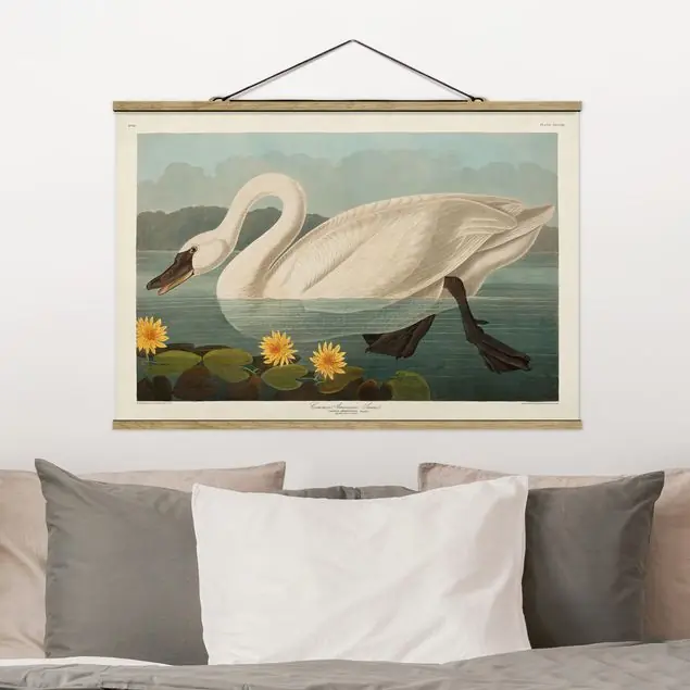 Nur Heute Vintage Lehrtafel Amerikanischer Schwan