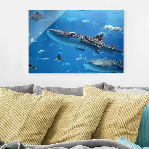 Fish in the Sea Saisonangebot