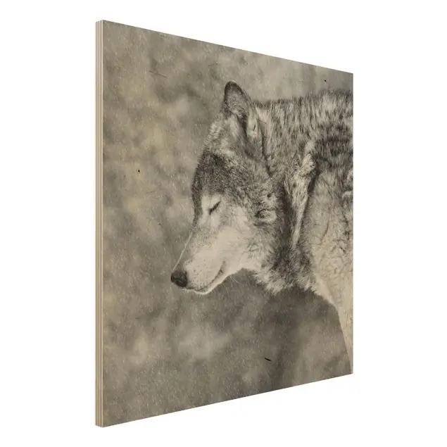 Kostenfreie Lieferung Winter Wolf