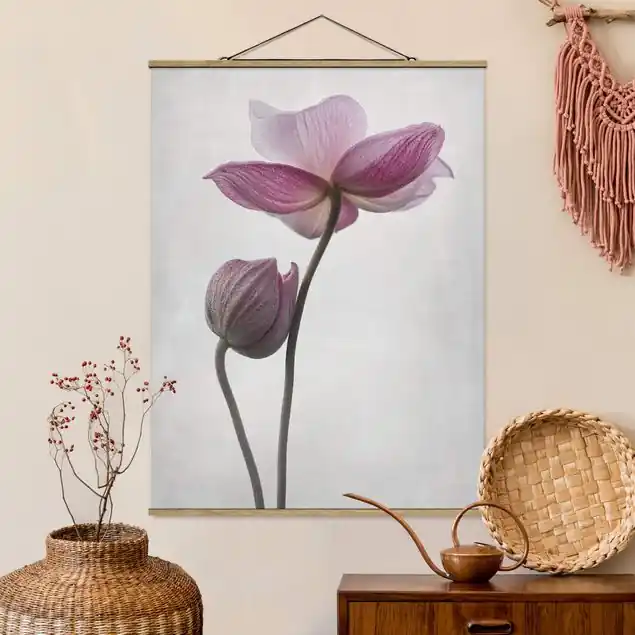 Knallerangebot Anemonen in rosa