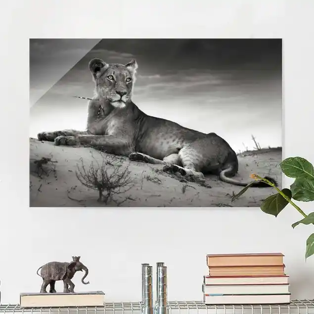 Resting Lion Sale