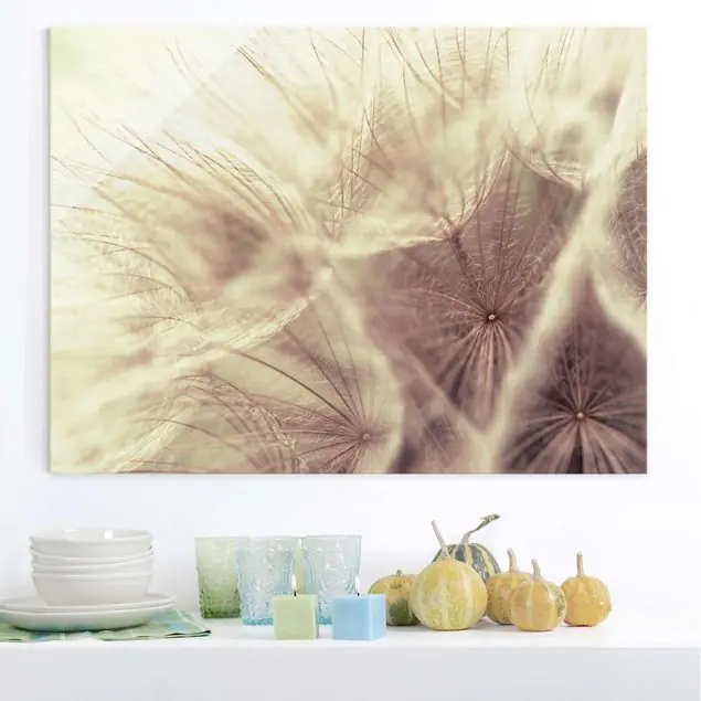 Detailreiche Pusteblumen Makro mit Blur Effekt Bestseller