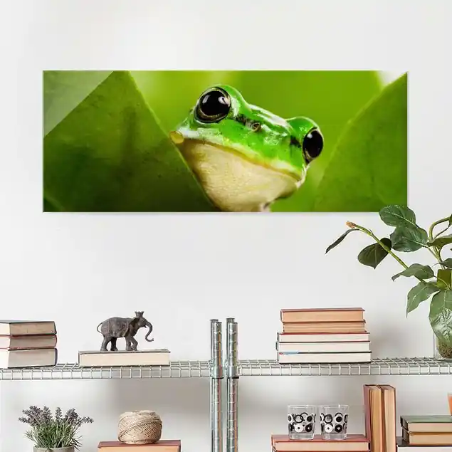 Markenprodukt Wetterfrosch