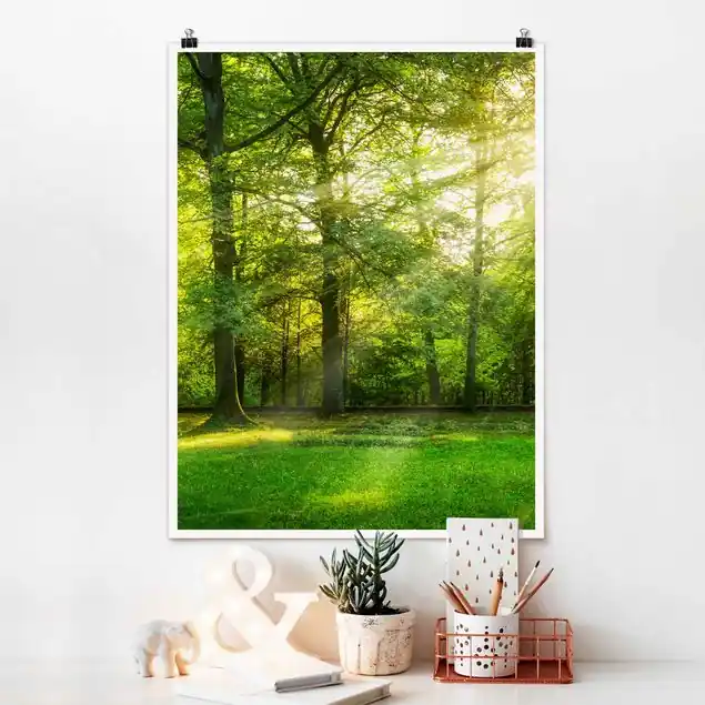 Super-Preis Spaziergang im Wald