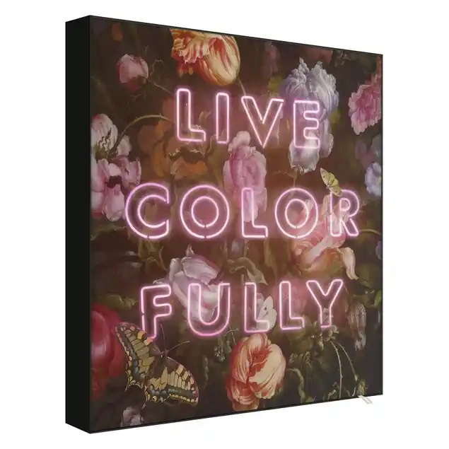 Live Color Fully Finale Aktion