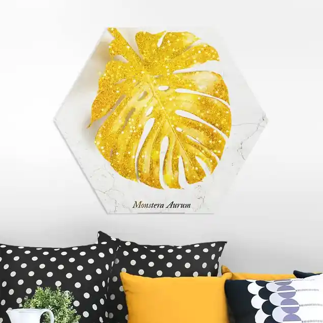 Gold - Monstera Aurum Meistverkauft