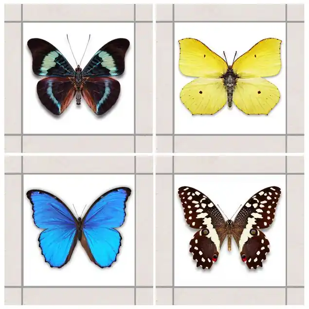 Elegantes Schmetterlingsset Neue Kollektion