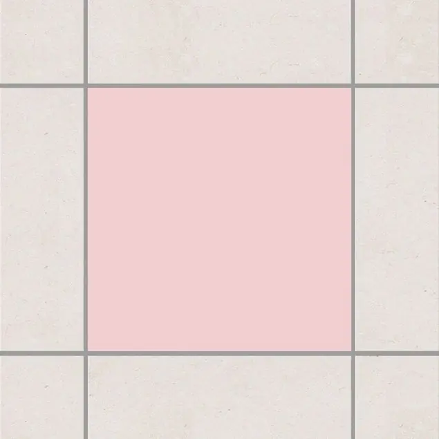 Colour Rose Saisonangebot