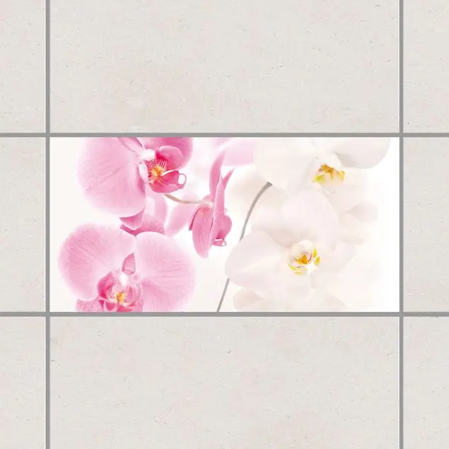 Garantierte Lieferung Orchideen Delicate Orchids