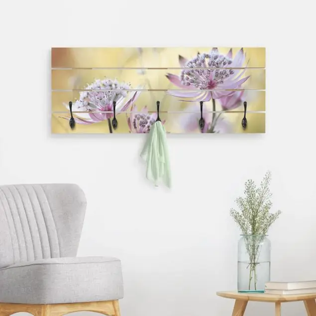 Astrantia Major Wandgarderobe Holzpalette Jetzt Kaufen