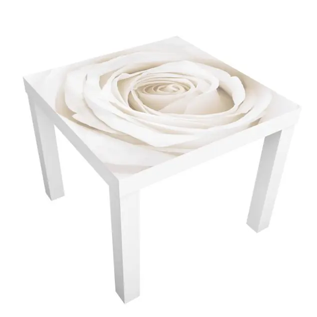 Sonderaktion Pretty White Rose
