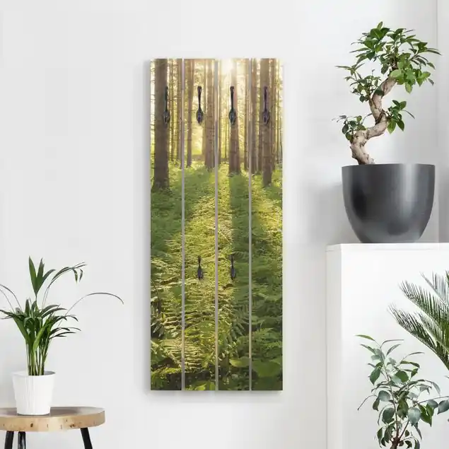 Sonnenstrahlen in grünem Wald Wandgarderobe Holzpalette Wochenendangebot