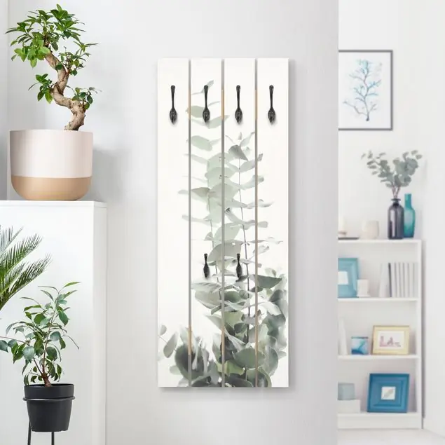 Finale Aktion Eukalyptus im Weißen Licht Wandgarderobe