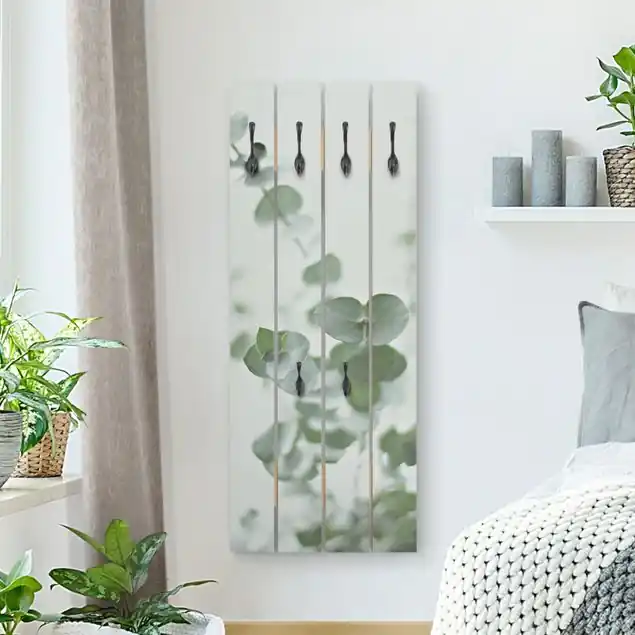 Nur Für Kurze Zeit Wachsende Eukalyptuszweige Wandgarderobe