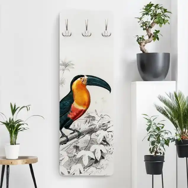 Vintage Lehrtafel Tukan Schwarz Gelb                               Wandgarderobe Abverkauf