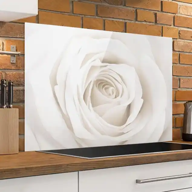 Pretty White Rose Glas Spritzschutz - Querformat 3:2 Schneller Versand