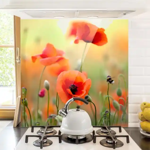 Roter Sommermohn Spritzschutz Sonderaktion