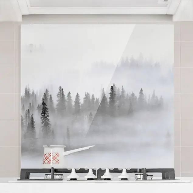 Nebel im Tannenwald Schwarz-Weiß Spritzschutz Letzte Chance