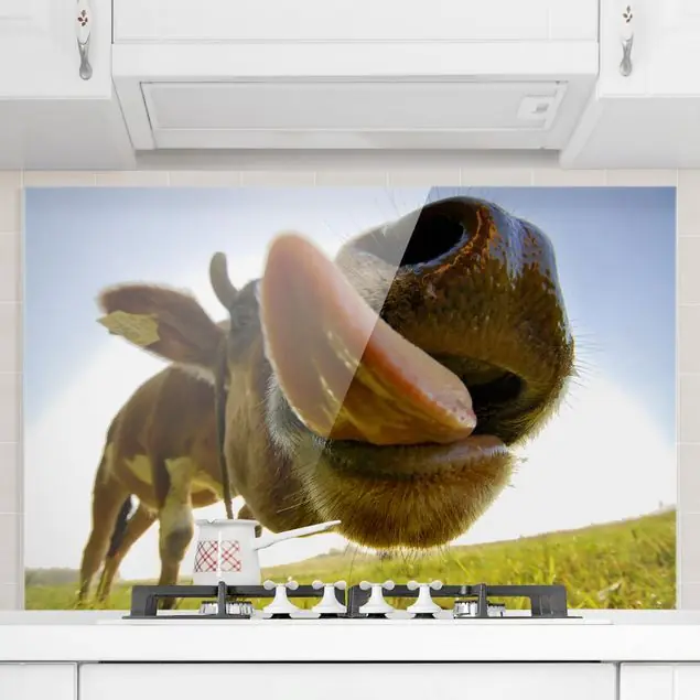 Moo Cow Glas Spritzschutz - Querformat 3:2 Highlight