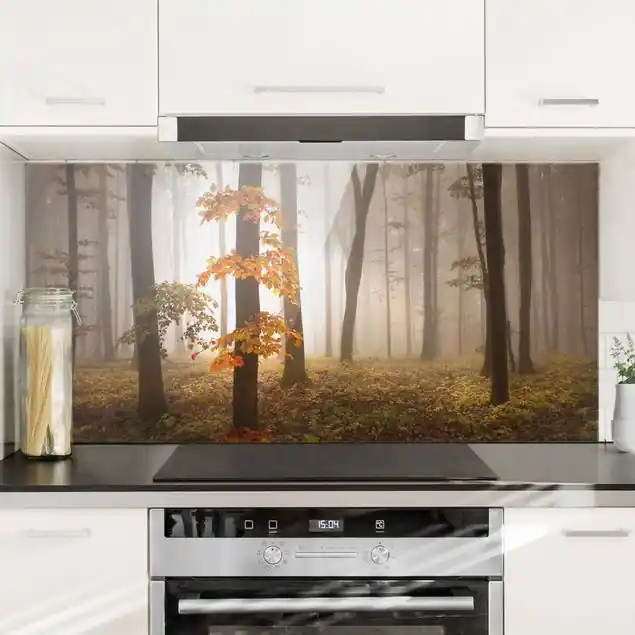 Wochenendangebot Novemberwald Glas Spritzschutz - Querformat 2:1