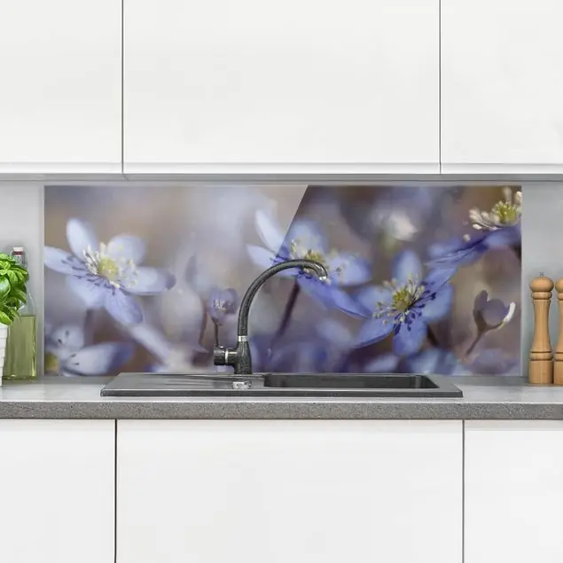Anemonen in Blau Glas Spritzschutz - Panorama Neue Kollektion