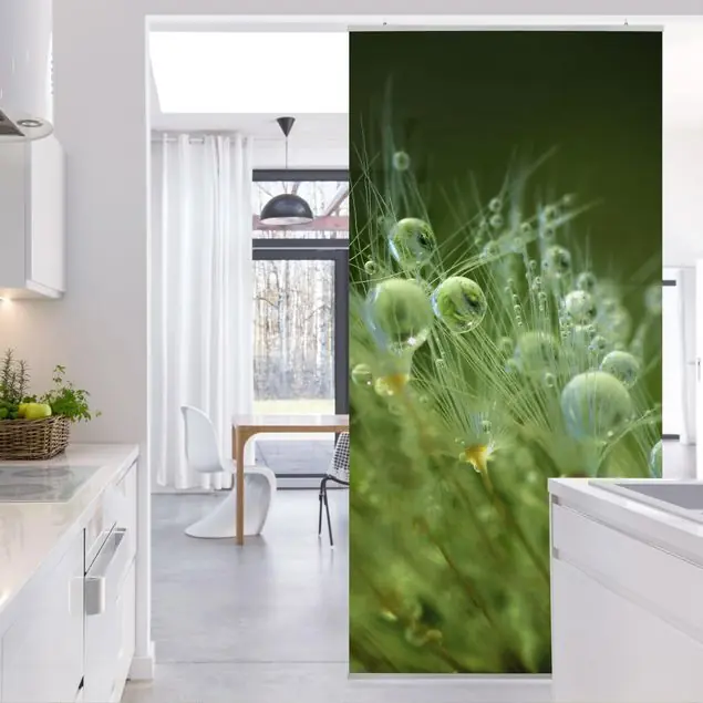 Grüne Samen im Regen Raumteiler Billig